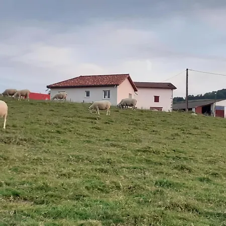 Nyaraló Eyhegaya *