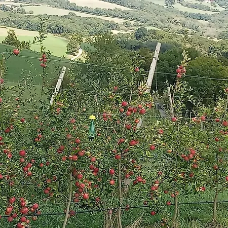 Nyaraló Eyhegaya