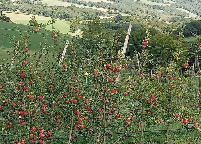 Eyhegaya Сasa de vacaciones Ordiarp